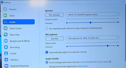 Screenshot of audio and microphone adjustment settings in the zoom app